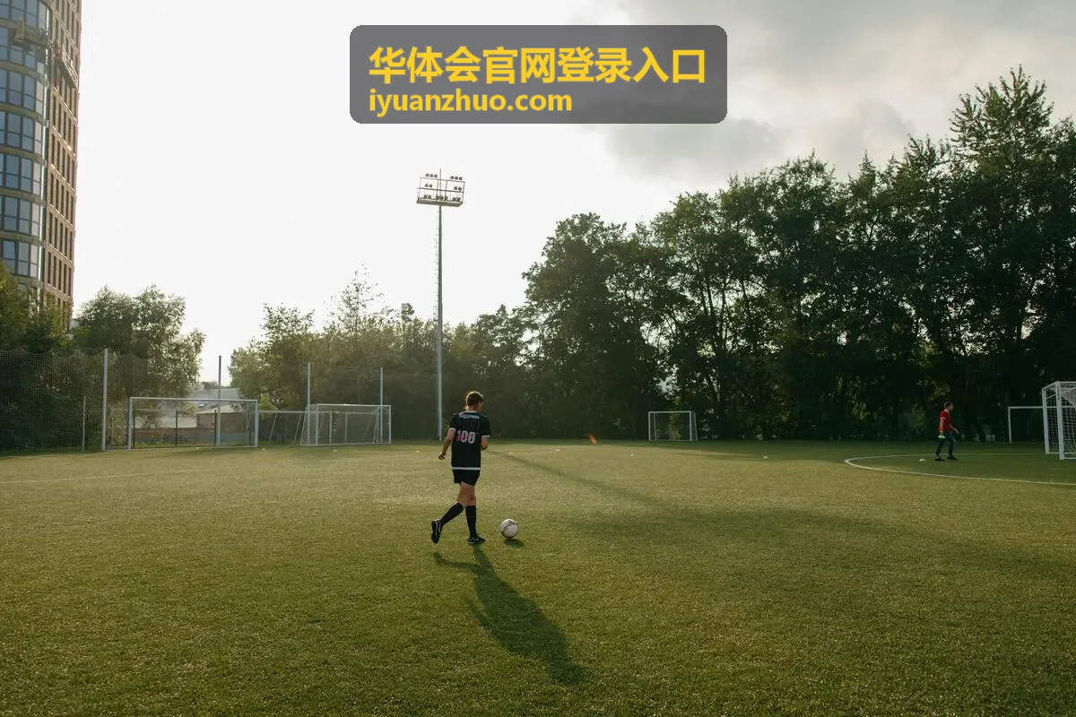 华体会官网登录入口验证码排查步骤